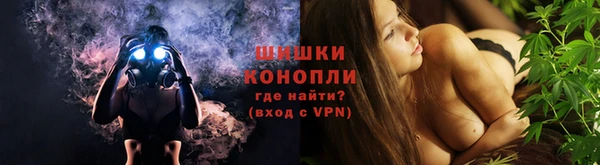 прущие грибы Арсеньев
