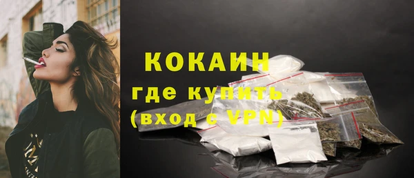 прущие грибы Армянск