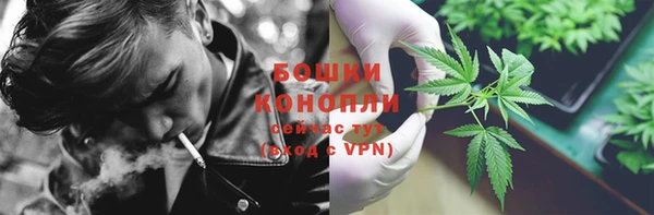 прущие грибы Армянск
