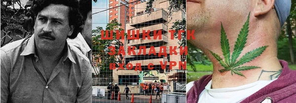 прущие грибы Армянск