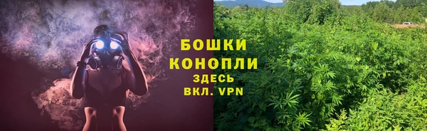 прущие грибы Арсеньев